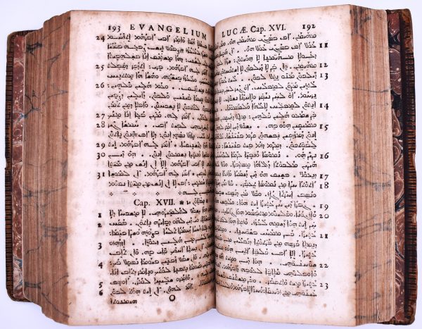 Novum Testamentum Syriace; Notae Criticae In Novum Testamentum Syriacum; Lexicon Syriacum - Image 3