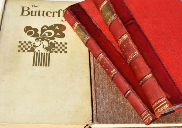 THE BUTTERFLY A Humourous And Artistic Monthly [Complete Run 1893-1894, 1899-1900] - Image 2