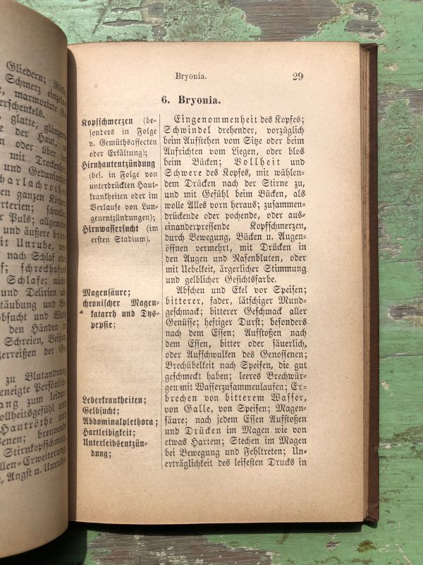 Charakteristik von Dreibig der Wichtigsten Homoopathischen Heilmittel Behufs ihrer Univendung in den Gemohalichsten Erkrankungsfallen - Image 3