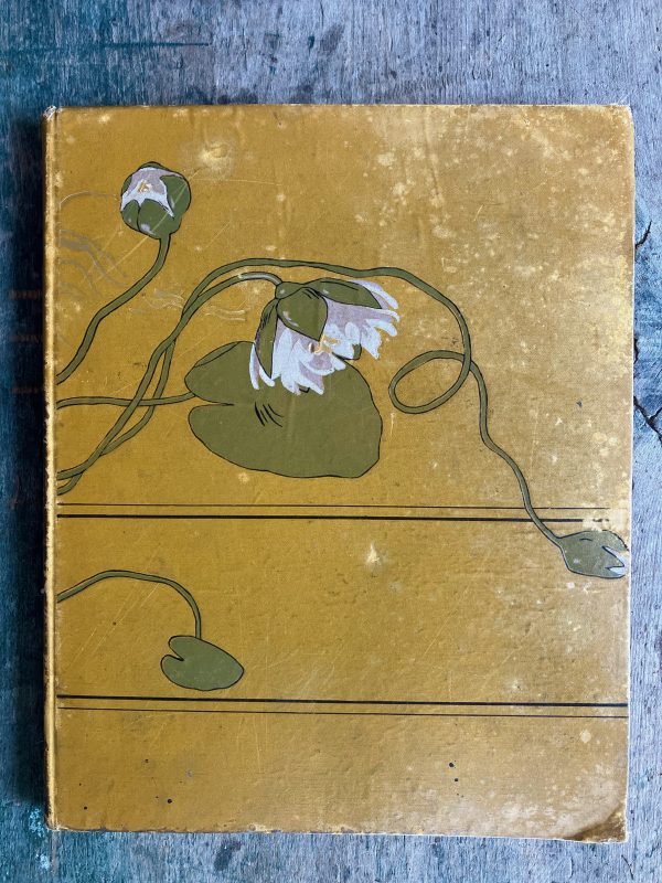 Home Fairies and Heart Flowers: Twenty Studies of Children's Heads - Image 2